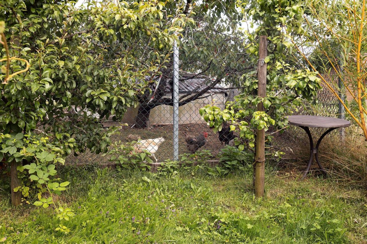 Zum Haselbach Apartamento Weilheim Exterior foto